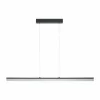 Luminaires Eglo Suspensions|Suspension Eglo TARANDELL LED Noir, 2 lumières