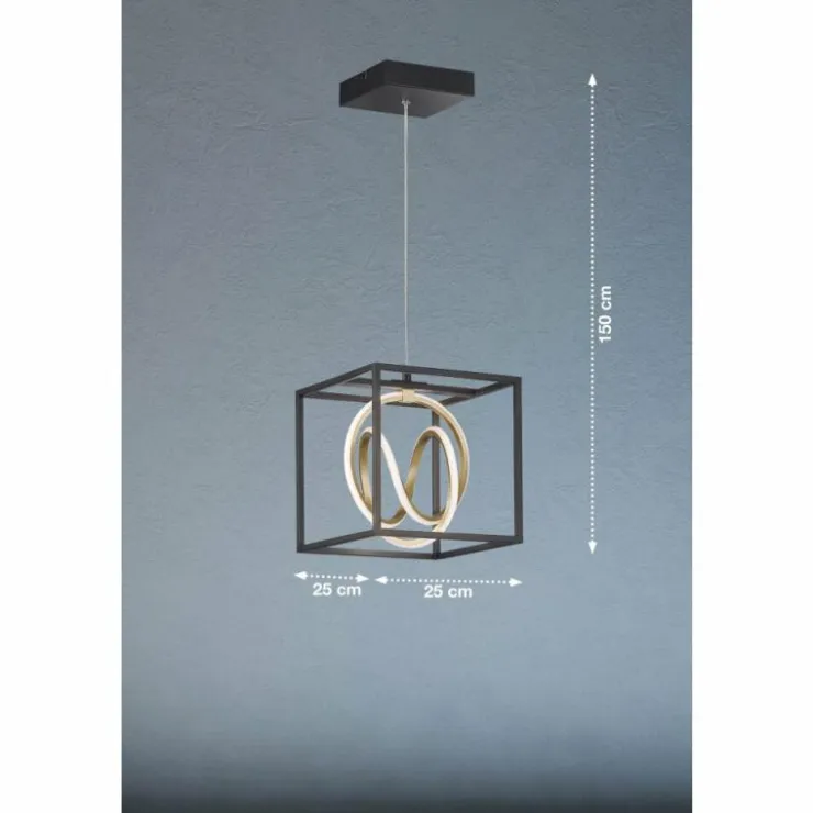 Luminaires Fischer & Honsel Éclairage Led|Suspension Fischer & Honsel Gisi LED Noir, 1 lumière, Télécommandes
