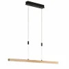 Luminaires Fischer & Honsel Éclairage Led|Suspension Fischer & Honsel Straßburg LED Noir, 1 lumière