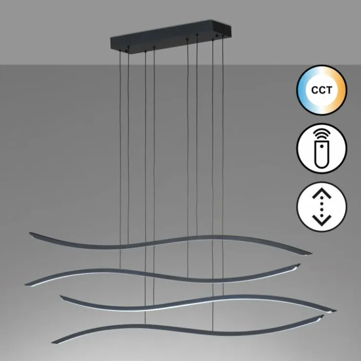 Luminaires Fischer & Honsel Éclairage Led|Suspension Fischer & Honsel Fisk LED Noir, 1 lumière, Télécommandes