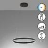 Luminaires Fischer & Honsel Éclairage Led|Suspension Fischer & Honsel Sirko LED Noir, 1 lumière, Télécommandes