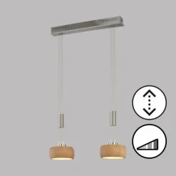 Luminaires Fischer & Honsel Suspensions|Suspension Fischer & Honsel SHINEWOOD LED Nickel mat, 2 lumières