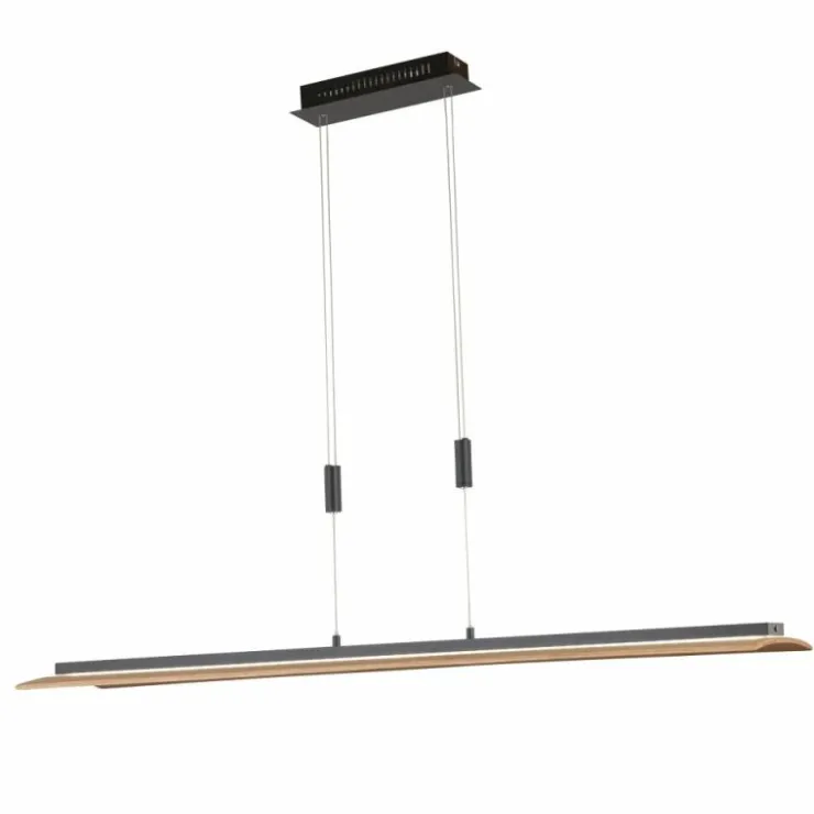 Luminaires Fischer & Honsel Suspensions|Suspension Fischer & Honsel SHINE-WOOD LED Noir, 1 lumière