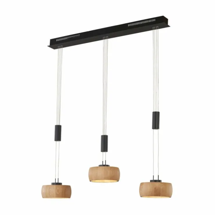Luminaires Fischer & Honsel Suspensions|Suspension Fischer & Honsel SHINEWOOD LED Noir, 3 lumières