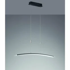 Luminaires Fischer & Honsel Éclairage Led|Suspension Fischer-Honsel Metis LED Noir, 1 lumière