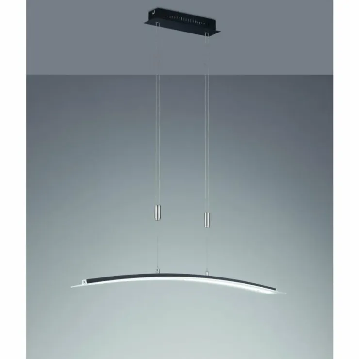 Luminaires Fischer & Honsel Éclairage Led|Suspension Fischer-Honsel Metis LED Noir, 1 lumière