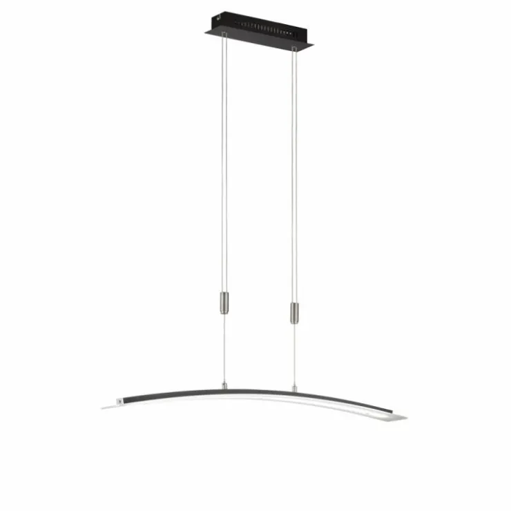 Luminaires Fischer & Honsel Éclairage Led|Suspension Fischer-Honsel Metis LED Noir, 1 lumière