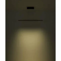Luminaires Globo Lighting Suspensions|Suspension Globo DENTSY LED Noir, 1 lumière