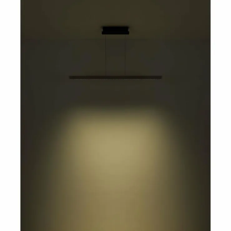 Luminaires Globo Lighting Suspensions|Suspension Globo DENTSY LED Noir, 1 lumière
