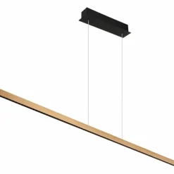 Luminaires Globo Lighting Éclairage Led|Suspension Globo DENTSY LED Noir, 1 lumière