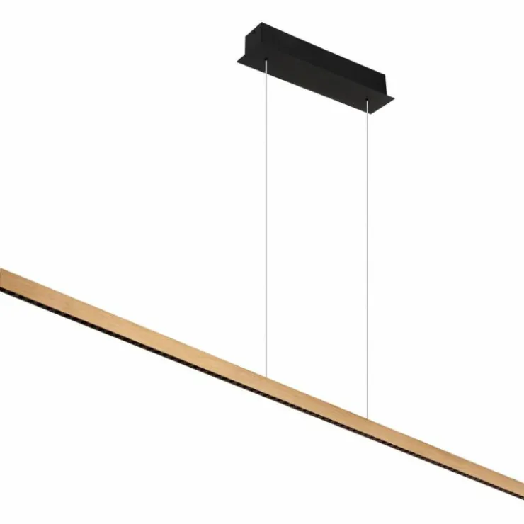 Luminaires Globo Lighting Éclairage Led|Suspension Globo DENTSY LED Noir, 1 lumière