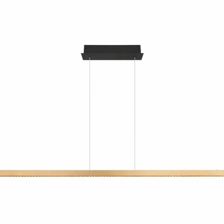 Luminaires Globo Lighting Éclairage Led|Suspension Globo DENTSY LED Noir, 1 lumière