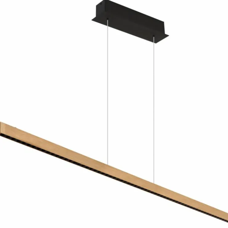 Luminaires Globo Lighting Éclairage Led|Suspension Globo DENTSY LED Noir, 1 lumière