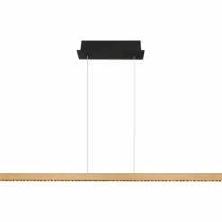 Luminaires Globo Lighting Éclairage Led|Suspension Globo DENTSY LED Noir, 1 lumière