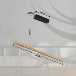 Luminaires Globo Lighting Éclairage Led|Suspension Globo DENTSY LED Noir, 1 lumière