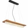 Luminaires Globo Lighting Suspensions|Suspension Globo EDELTRAUD LED Noir, 1 lumière