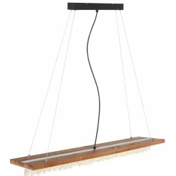 Luminaires Globo Lighting Suspensions|Suspension Globo EDELTRAUD LED Noir, 1 lumière
