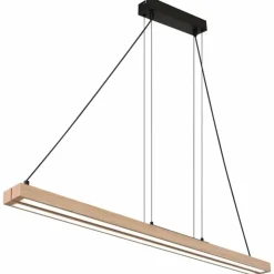 Luminaires Globo Lighting Éclairage Led|Suspension Globo GREKKIE LED Noir, 1 lumière, Télécommandes