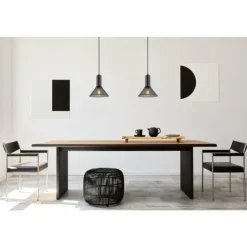Luminaires Globo Lighting Suspensions|Suspension Globo JEDD Noir, 1 lumière