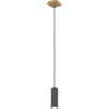 Luminaires Globo Lighting Suspensions|Suspension Globo ROBBY Noir, 1 lumière