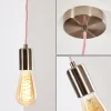 hofstein Suspensions|Suspension Lemone Rose, 1 lumière
