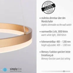 Luminaires Paul Neuhaus Éclairage Led|Suspension Leuchten-Direkt TITUS LED Laiton, 1 lumière