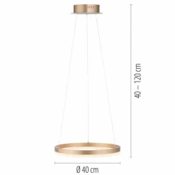 Luminaires Paul Neuhaus Éclairage Led|Suspension Leuchten-Direkt TITUS LED Laiton, 1 lumière