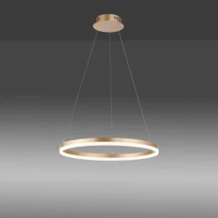Luminaires Paul Neuhaus Éclairage Led|Suspension Leuchten-Direkt TITUS LED Laiton, 1 lumière