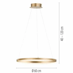 Luminaires Paul Neuhaus Éclairage Led|Suspension Leuchten-Direkt TITUS LED Laiton, 1 lumière