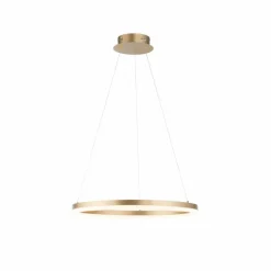 Luminaires Paul Neuhaus Éclairage Led|Suspension Leuchten-Direkt TITUS LED Laiton, 1 lumière