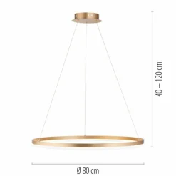 Luminaires Paul Neuhaus Éclairage Led|Suspension Leuchten-Direkt TITUS LED Laiton, 1 lumière