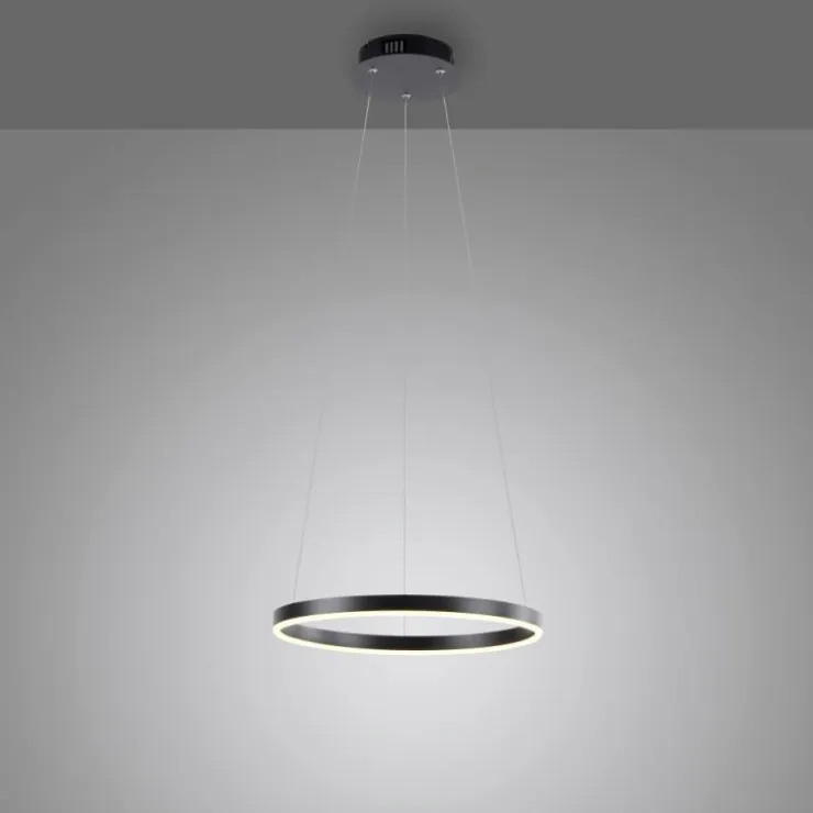 Luminaires Leuchten Direkt Éclairage Led|Suspension Leuchten-Direkt RITUS LED Anthracite, 1 lumière