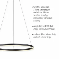Luminaires Leuchten Direkt Suspensions|Suspension Leuchten-Direkt RITUS LED Noir, 1 lumière