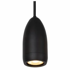 Luminaires Lucide Suspensions|Suspension Lucide EVORA Noir, 1 lumière