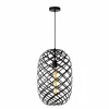 Luminaires Lucide Suspensions|Suspension Lucide WOLFRAM Noir, 1 lumière