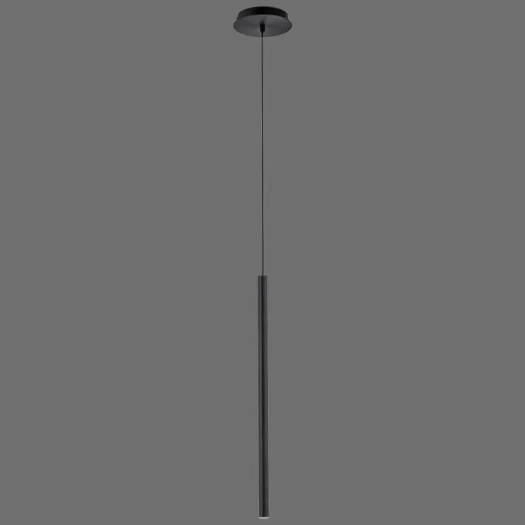 Luminaires Paul Neuhaus Éclairage Led|Suspension Paul Neuhaus FLUTE LED Noir, 1 lumière