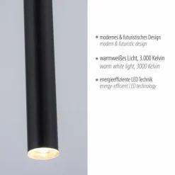 Luminaires Paul Neuhaus Éclairage Led|Suspension Paul Neuhaus FLUTE LED Noir, 1 lumière
