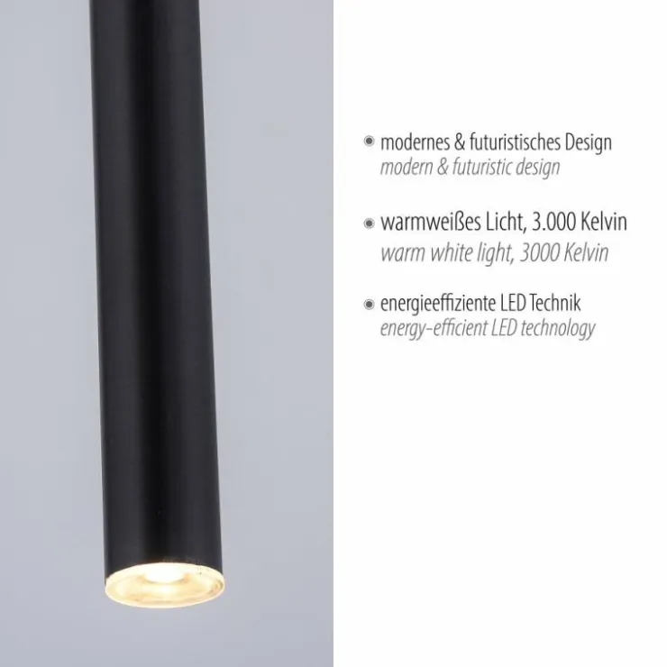 Luminaires Paul Neuhaus Éclairage Led|Suspension Paul Neuhaus FLUTE LED Noir, 1 lumière