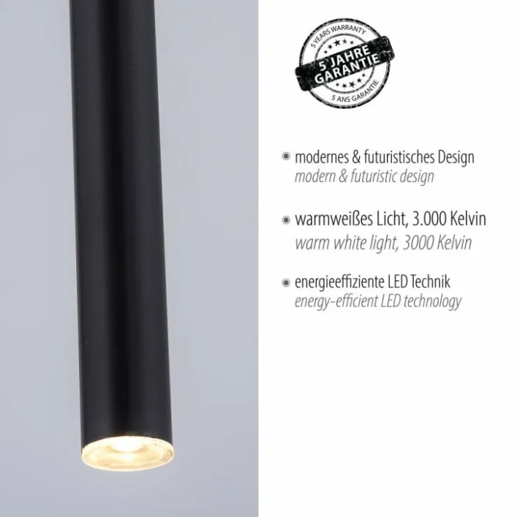 Luminaires Paul Neuhaus Éclairage Led|Suspension Paul Neuhaus FLUTE LED Noir, 1 lumière