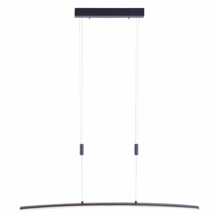 Luminaires Paul Neuhaus Éclairage Led|Suspension Paul Neuhaus JANINA LED Anthracite, 1 lumière