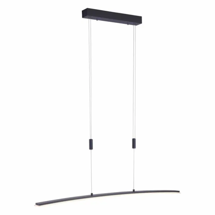 Luminaires Paul Neuhaus Éclairage Led|Suspension Paul Neuhaus JANINA LED Anthracite, 1 lumière