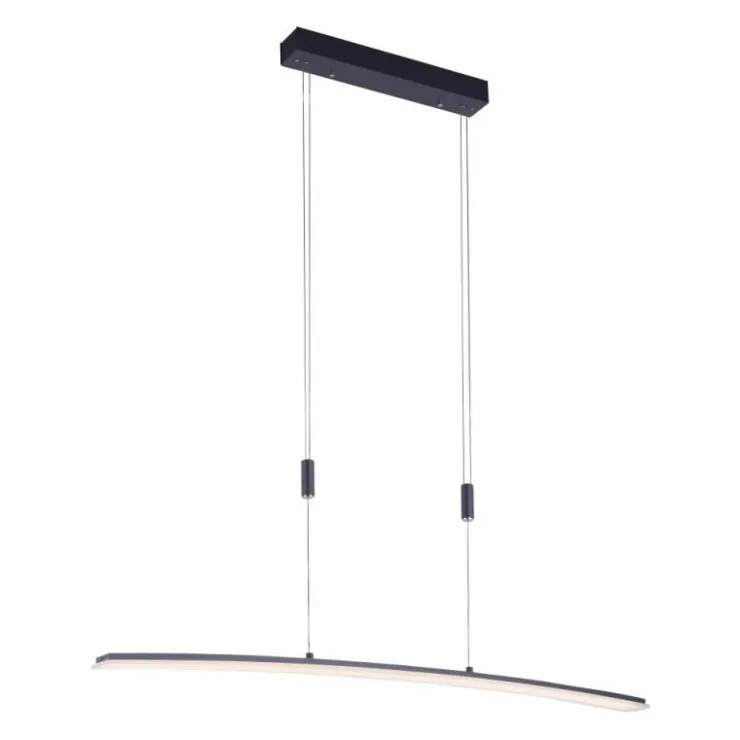 Luminaires Paul Neuhaus Éclairage Led|Suspension Paul Neuhaus JANINA LED Anthracite, 1 lumière