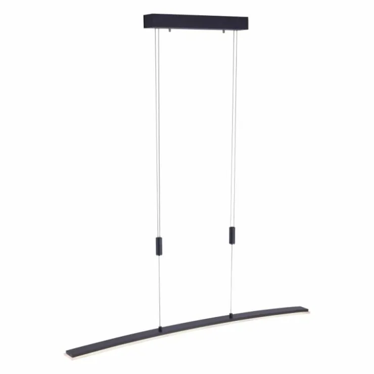 Luminaires Paul Neuhaus Éclairage Led|Suspension Paul Neuhaus JANINA LED Anthracite, 1 lumière