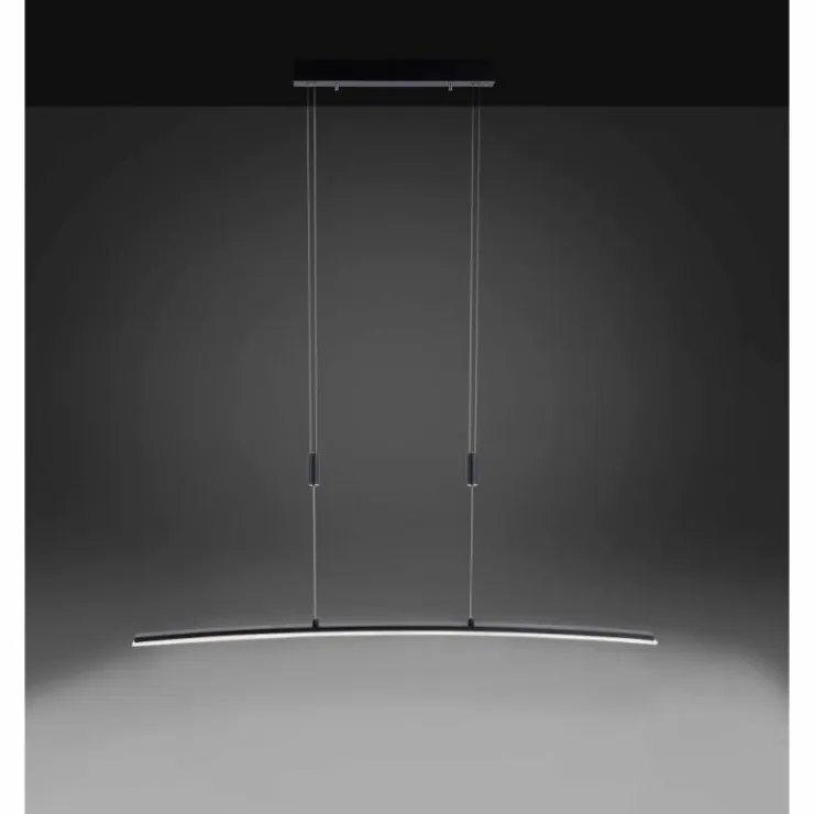 Luminaires Paul Neuhaus Éclairage Led|Suspension Paul Neuhaus JANINA LED Anthracite, 1 lumière