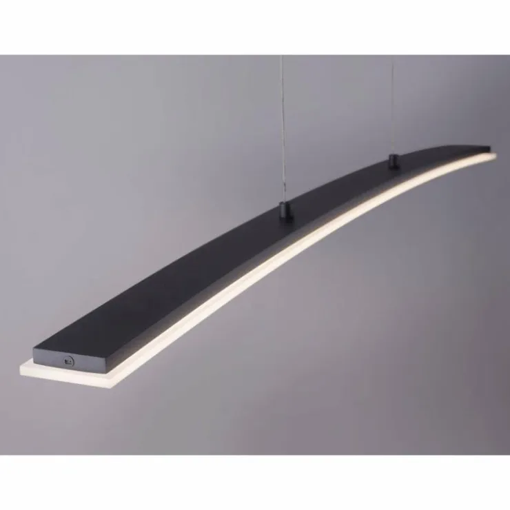 Luminaires Paul Neuhaus Éclairage Led|Suspension Paul Neuhaus JANINA LED Anthracite, 1 lumière