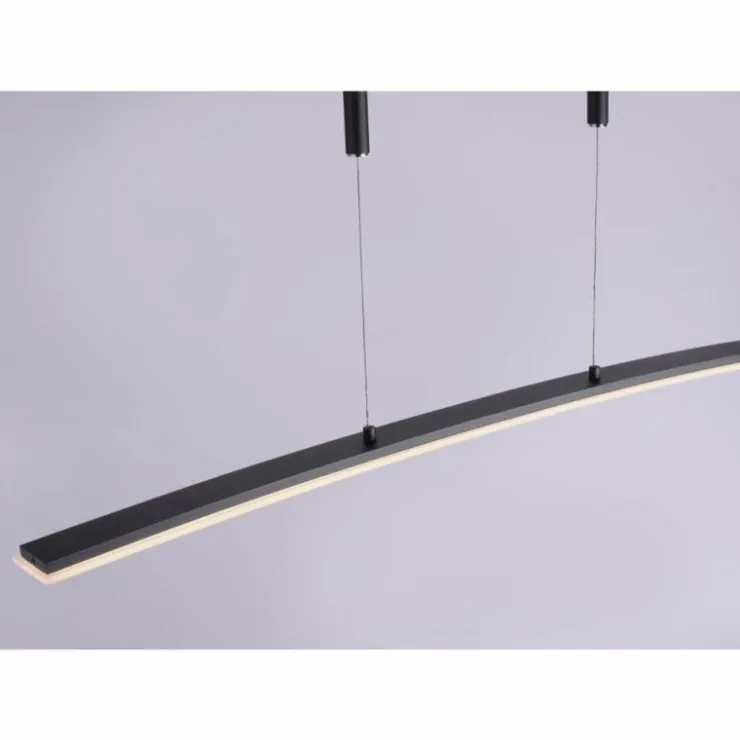 Luminaires Paul Neuhaus Éclairage Led|Suspension Paul Neuhaus JANINA LED Anthracite, 1 lumière