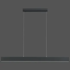 Suspension Paul Neuhaus NILA LED Anthracite, 2 lumières, Télécommandes
