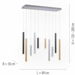 Luminaires Paul Neuhaus Suspensions|Suspension Paul Neuhaus PURE-GEMIN LED Aluminium, Noir, 10 lumières