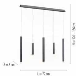 Luminaires Paul Neuhaus Suspensions|Suspension Paul Neuhaus PURE-GEMIN LED Aluminium, Noir, 5 lumières