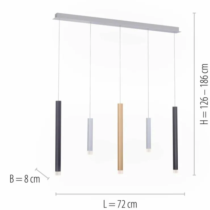 Luminaires Paul Neuhaus Éclairage Led|Suspension Paul Neuhaus PURE-GEMIN LED Aluminium, Laiton, Noir, 5 lumières